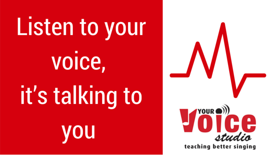 Listen to your voice, it’s talking to you